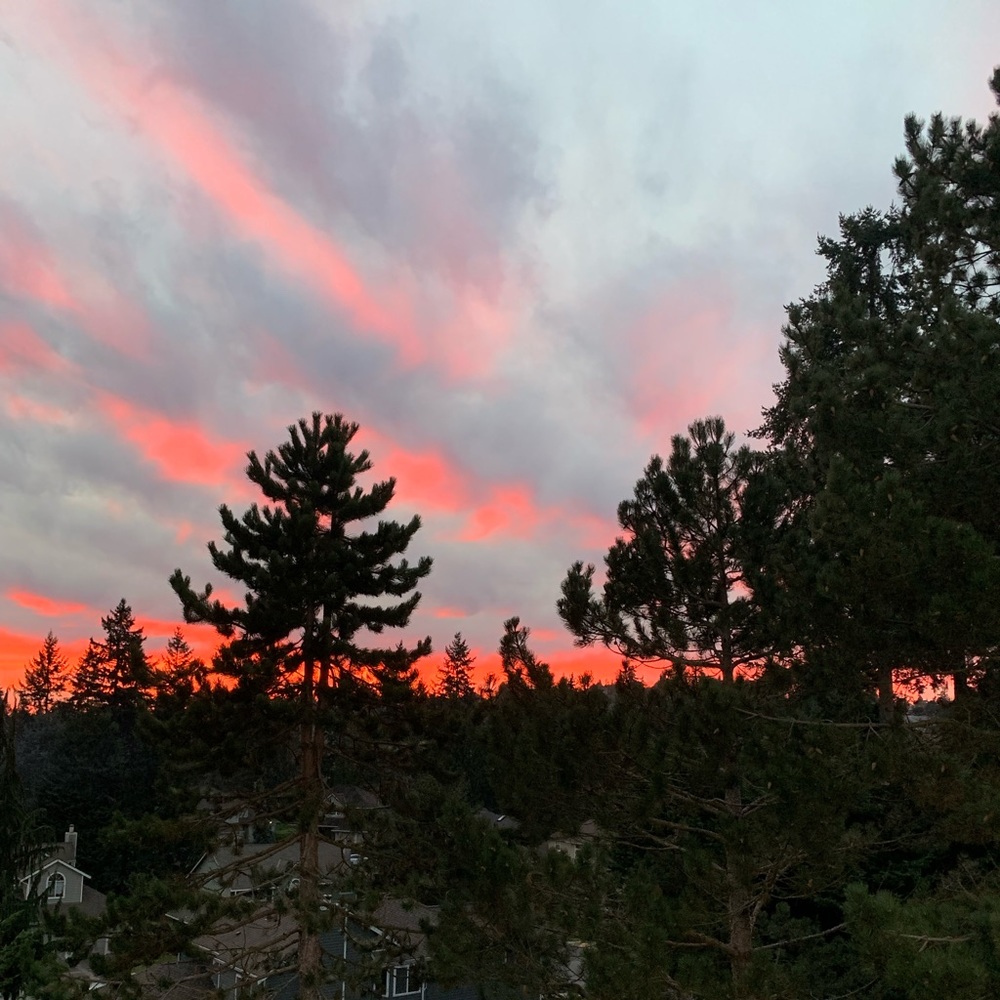 Meet your Posher, Posh